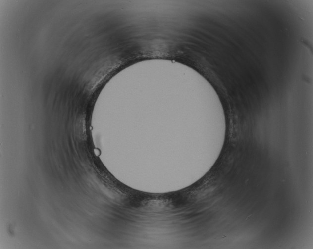 X0000103970251200810101315