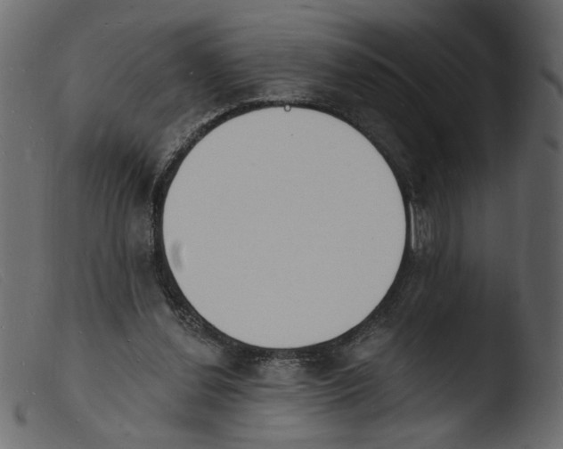 X0000103970252200810101315