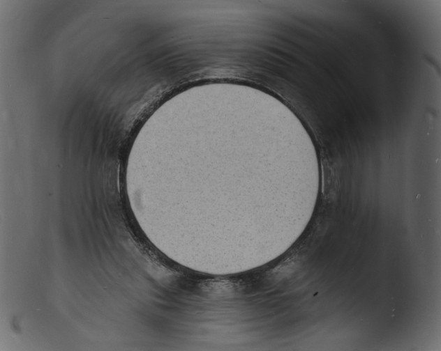 X0000103970253200810101315