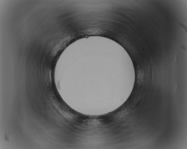 X0000103970254200810101315