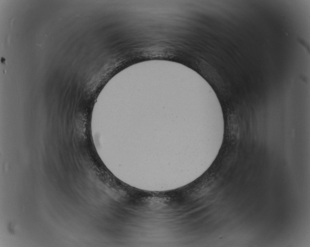 X0000103970255200810101315