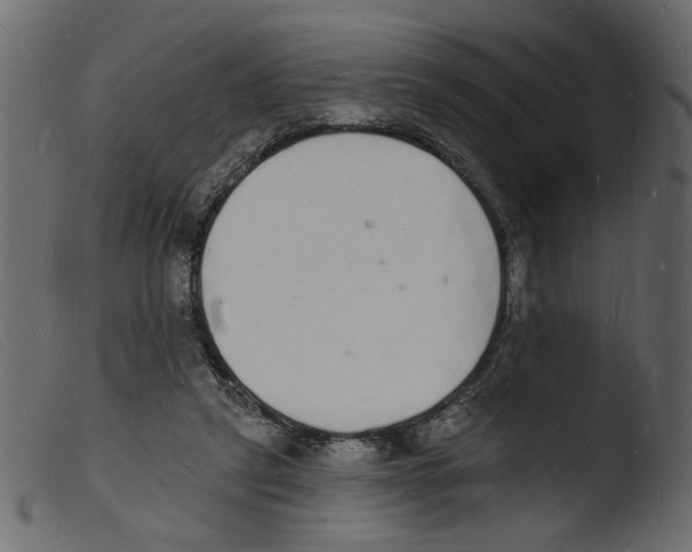 X0000103970257200810101315