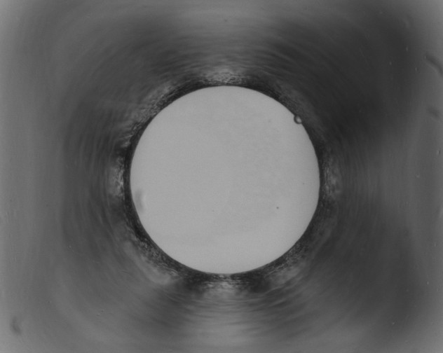 X0000103970259200810101315