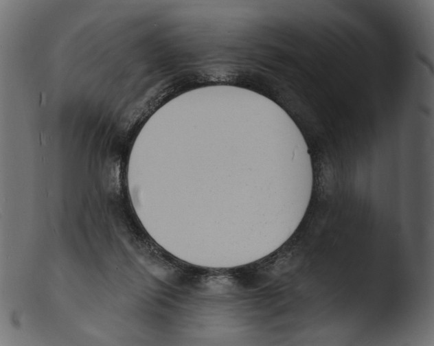 X0000103970262200810101315