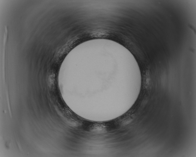 X0000103970263200810101315