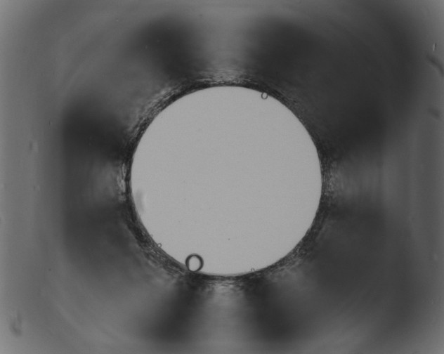 X0000103970264200810101315