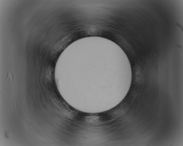 X0000103970266200810101315