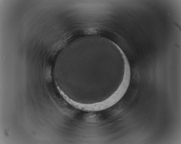 X0000103970267200810101315