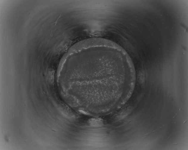 X0000103970271200810101315