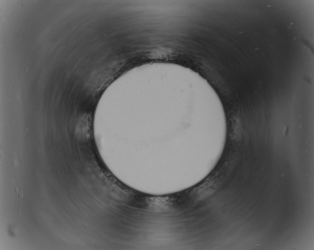 X0000103970273200810101315