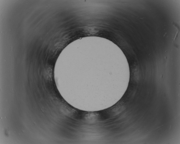 X0000103970274200810101315