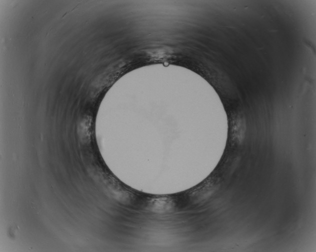 X0000103970275200810101315