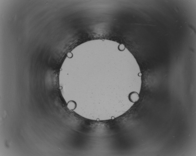 X0000103970276200810101315