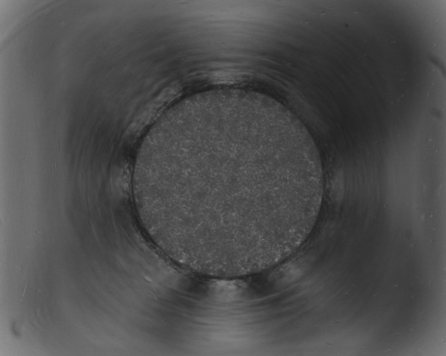 X0000103970277200810101315