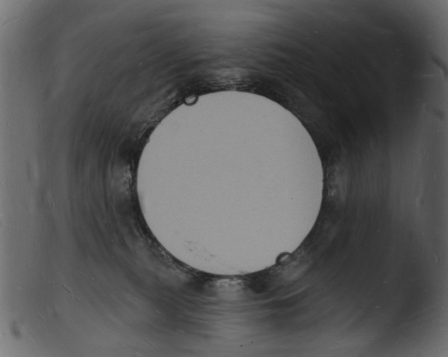 X0000103970279200810101315