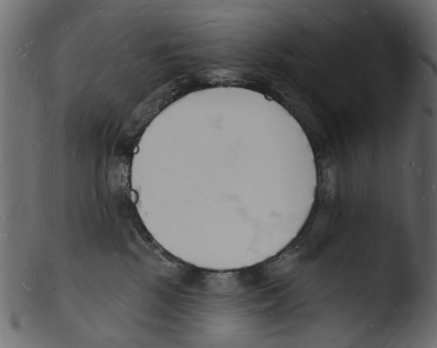 X0000103970281200810101315