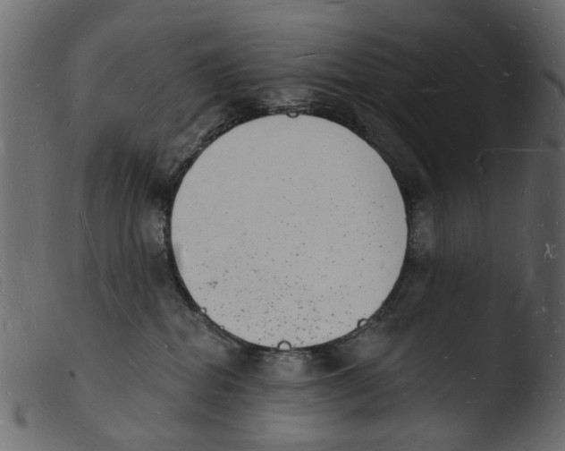 X0000103970282200810101315