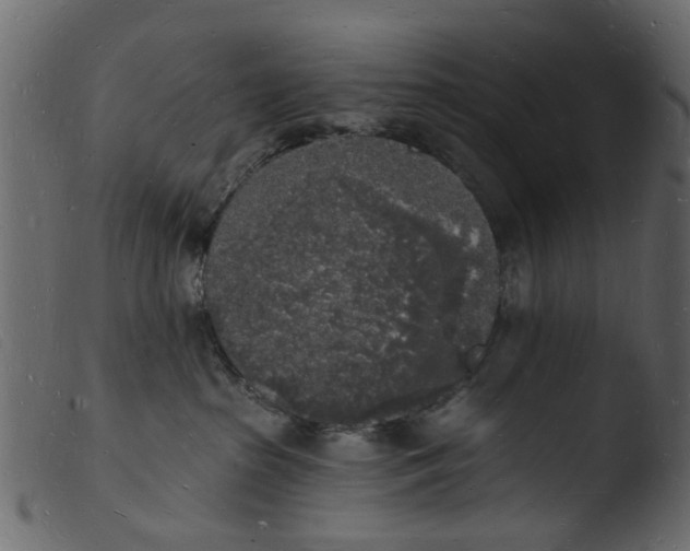 X0000103970285200810101315