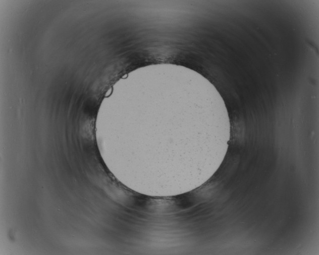 X0000103970286200810101315