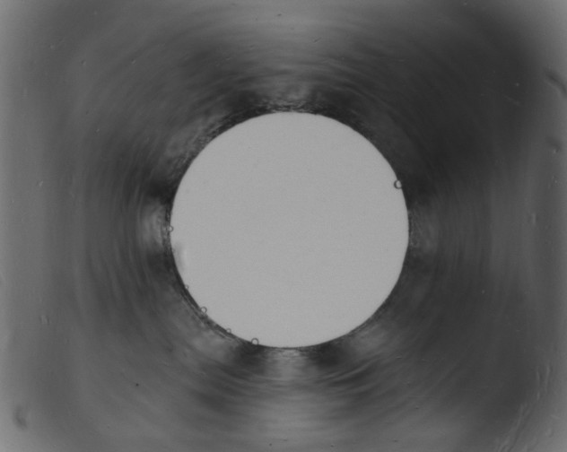 X0000103970287200810101315