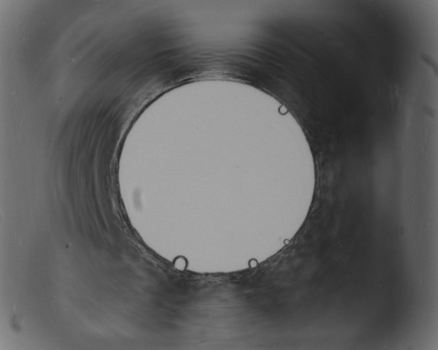 X0000103970289200810101314