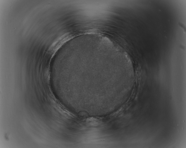 X0000103970290200810101314