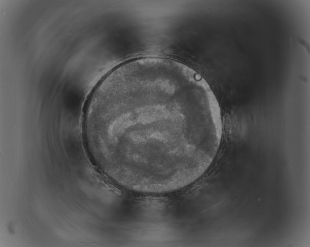 X0000103970292200810101314