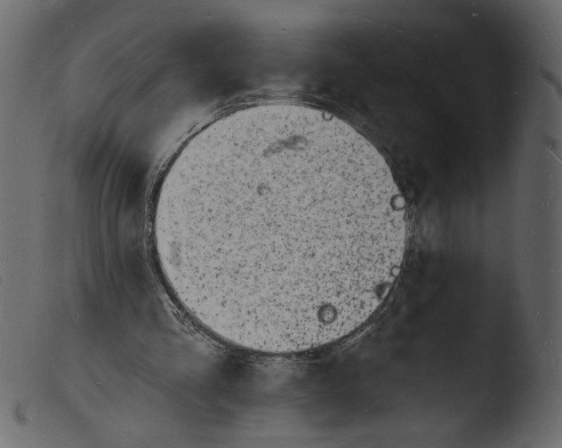 X0000103970293200810101314