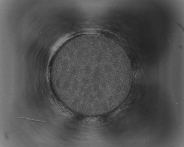 X0000103970294200810101314