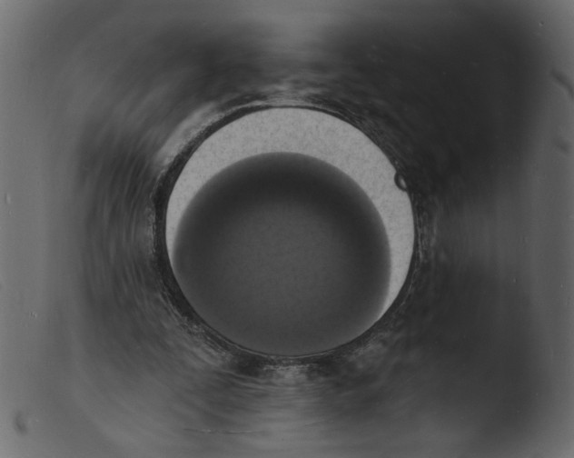 X0000103970295200810101314