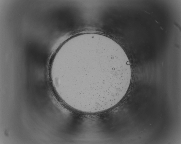 X0000103970296200810101314