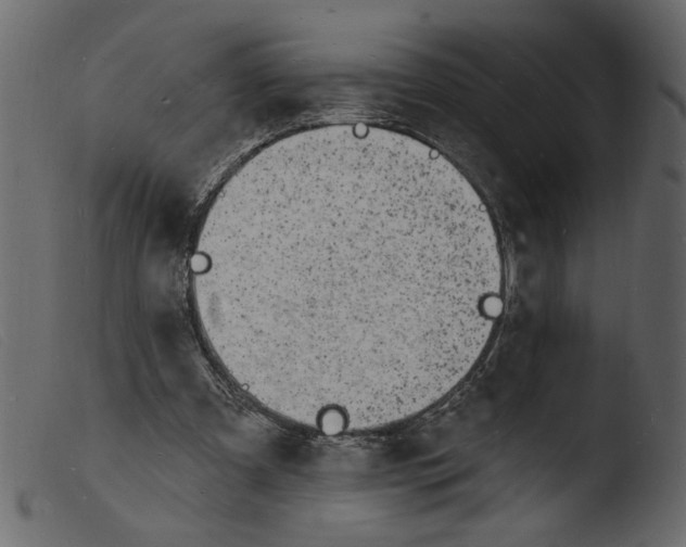 X0000103970297200810101314