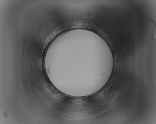 X0000103970298200810101314