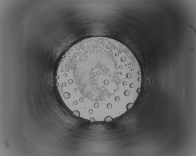 X0000103970299200810101314