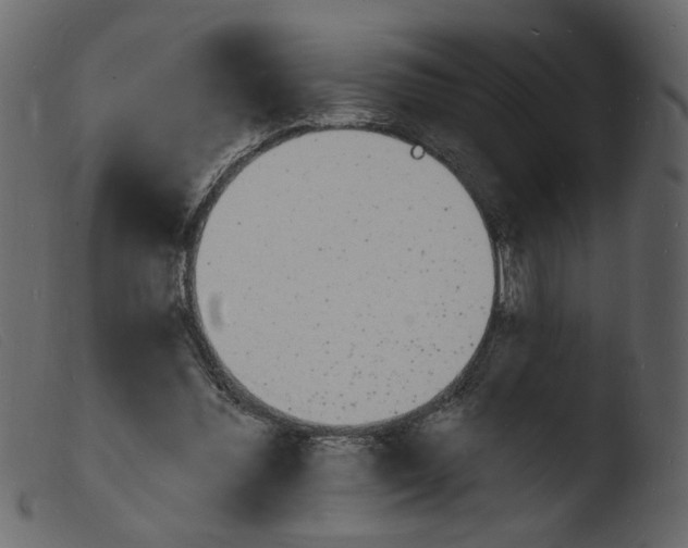 X0000103970300200810101314