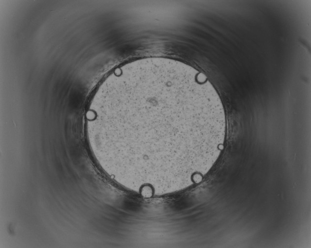 X0000103970301200810101314