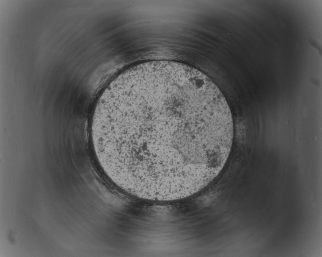 X0000103970302200810101314