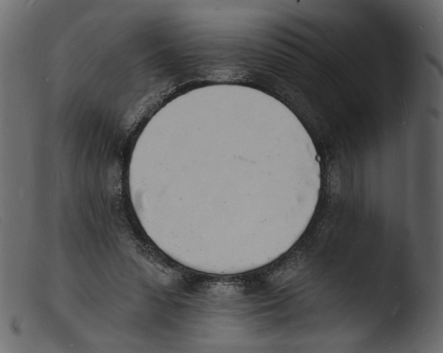 X0000103970303200810101314