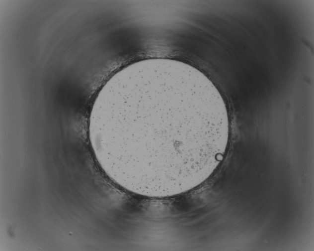 X0000103970305200810101314