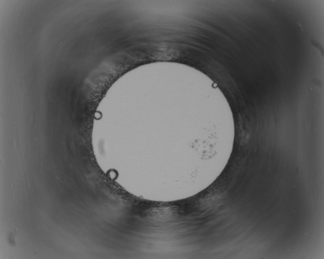 X0000103970307200810101314