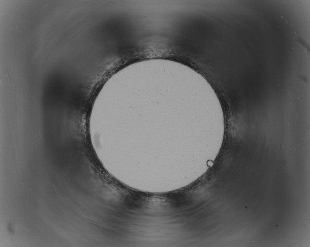 X0000103970308200810101314