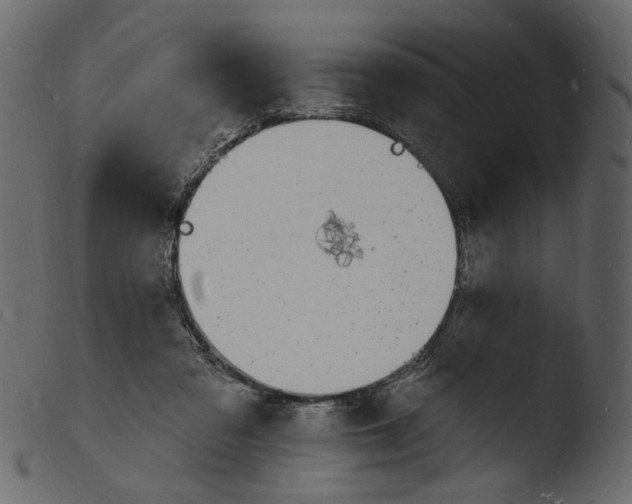 X0000103970309200810101314