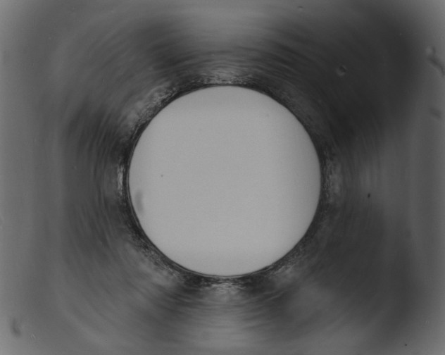 X0000103970310200810101314