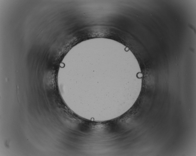 X0000103970312200810101314