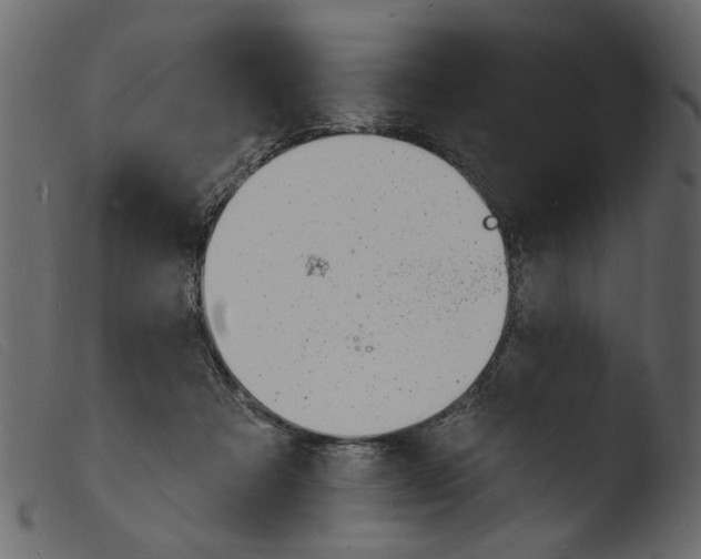 X0000103970313200810101314