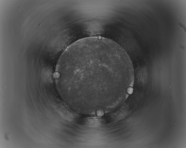 X0000103970316200810101314