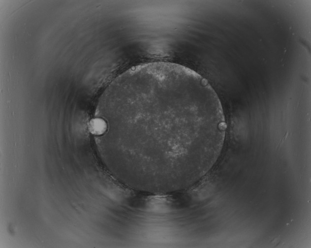 X0000103970320200810101314