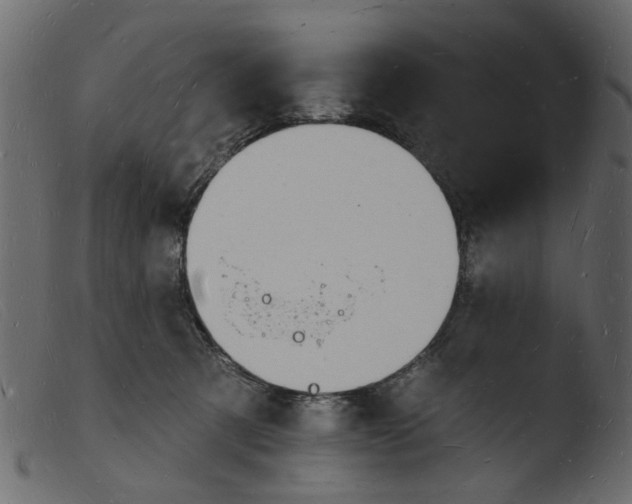 X0000103970321200810101314