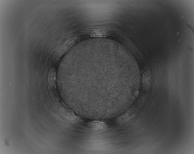 X0000103970322200810101314