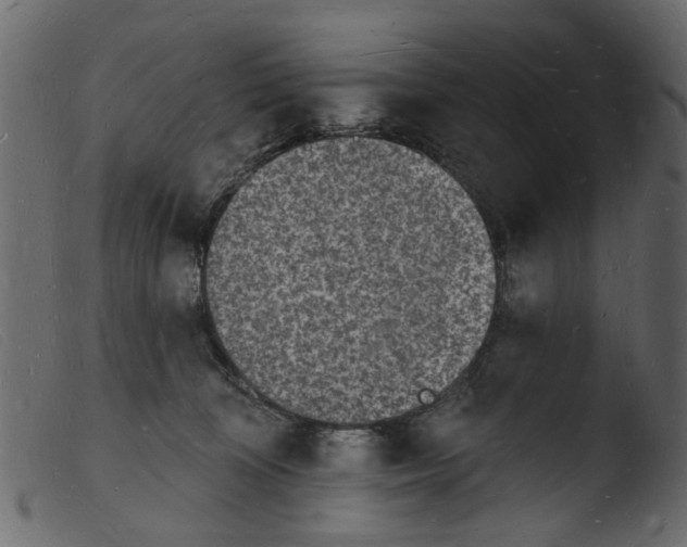 X0000103970324200810101314